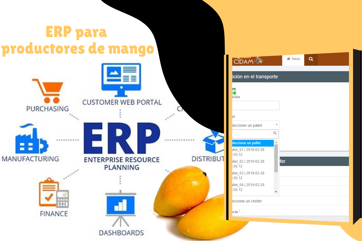 Proyecto-ERP